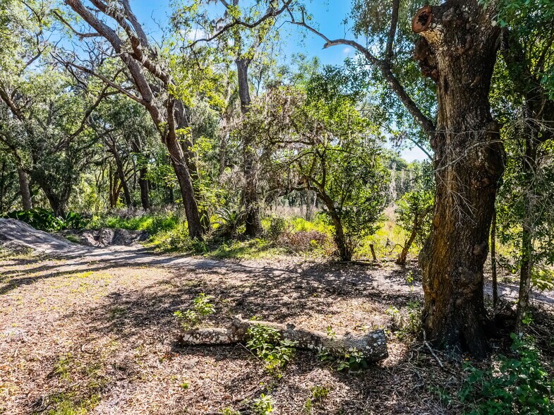 More Photos Of 3633 Panther Path Rd, Lutz Land For Sale