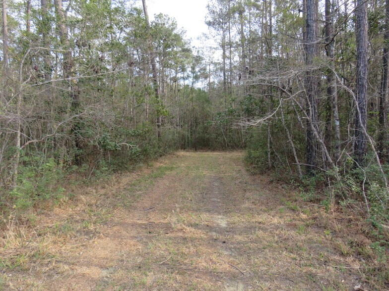 More Photos Of T.B.D. Finnell Road, Little River Land For Sale