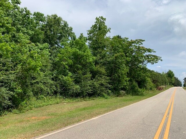 More Photos Of 15414 Old Highway 5 S, Grove Hill Land For Sale