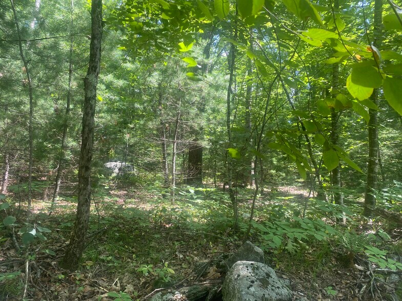 More Photos Of Thresher Rd, Hardwick Land For Sale