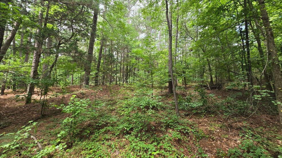 More Photos Of 5171 Ga Highway 138, Loganville Land For Sale
