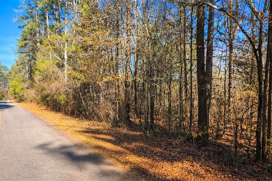 More Photos Of Lot 32 Starlight Lane, Fair Play Land For Sale