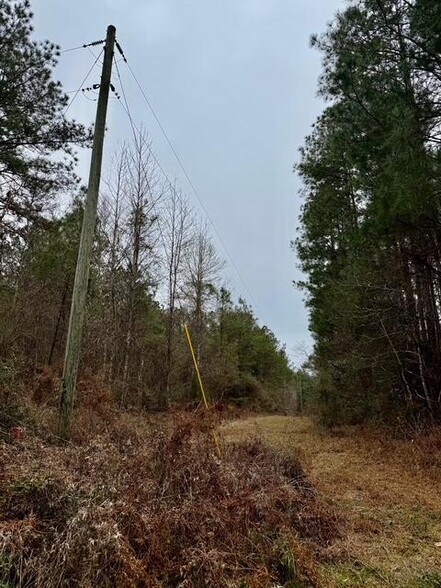 More Photos Of 00 Maypop Ln, Meadville Land For Sale