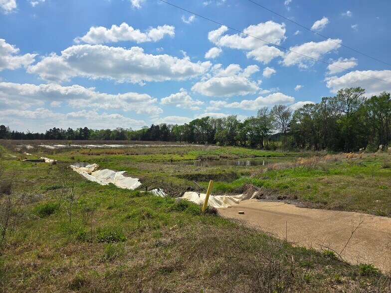 More Photos Of 11888 County Road 345, Winona Land For Sale