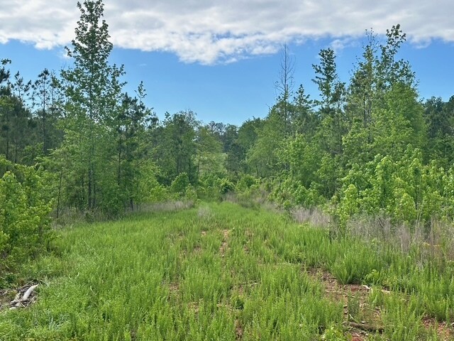 More Photos Of Satcher Road #4 Rd, Taylorsville Land For Sale