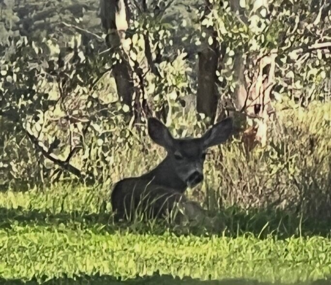More Photos Of Boundry Rd @ Ortega Highway, San Juan Capistrano Land For Sale