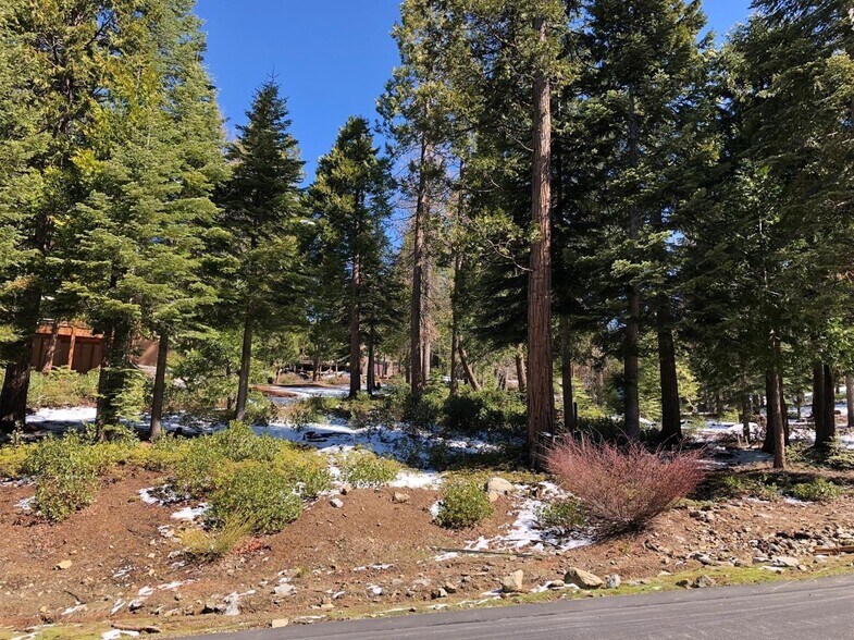 More Photos Of 42518 Tourmaline Ln, Shaver Lake Land For Sale