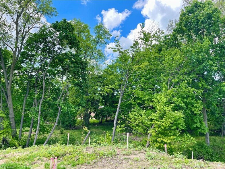 More Photos Of 9025 Jackson st, Mentor Land For Sale