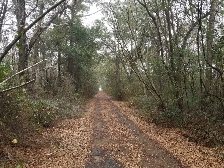 More Photos Of 0000 Hwy 90, Milton Land For Sale