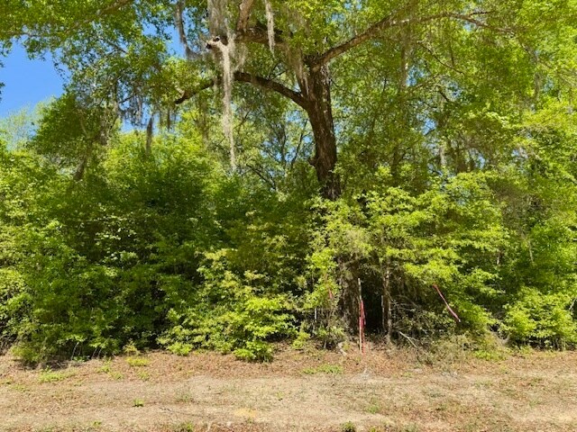 More Photos Of 000 Tanglewood Trail, Georgetown Land For Sale
