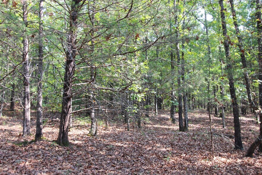 More Photos Of 226 Blythe rd, Greenbrier Land For Sale
