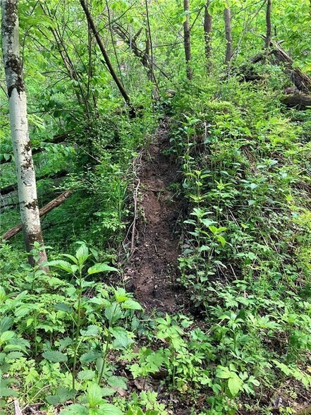 More Photos Of N3953 Bear Pen Rd, Arkansaw Land For Sale