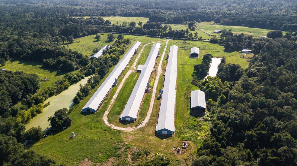 More Photos Of 1291 Myron Hart Rd, Coolidge Land For Sale