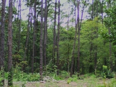 More Photos Of FM 1375 Rd @ gourd creek, New Waverly Land For Sale