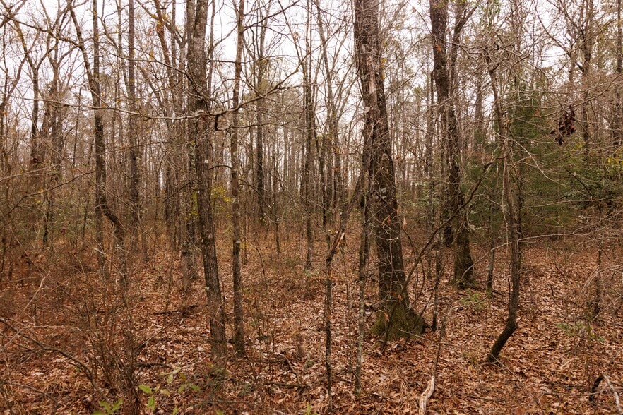More Photos Of Jug Factory Road, Wetumpka Land For Sale