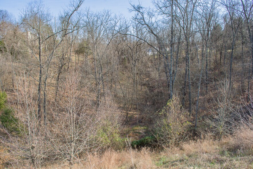 More Photos Of Remainder T.M Opequon Connector rd, Kearneysville Land For Sale