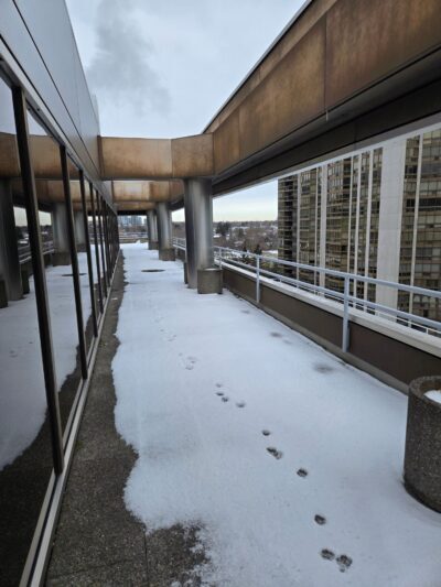 More Photos Of 90 Sheppard Ave E, Toronto Office For Lease