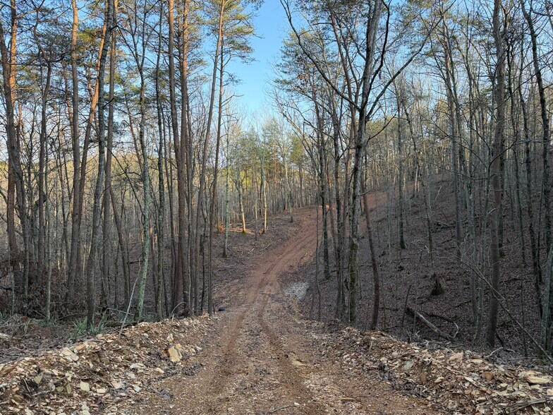 More Photos Of 260 Arnold Rd NE, Fairmount Land For Sale