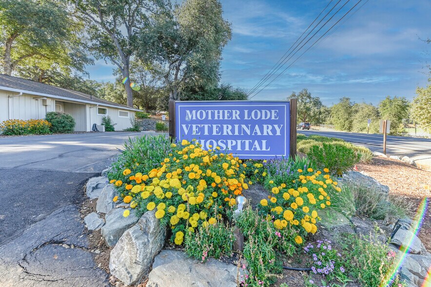 More Photos Of 382 CA-4, Murphys Office For Sale