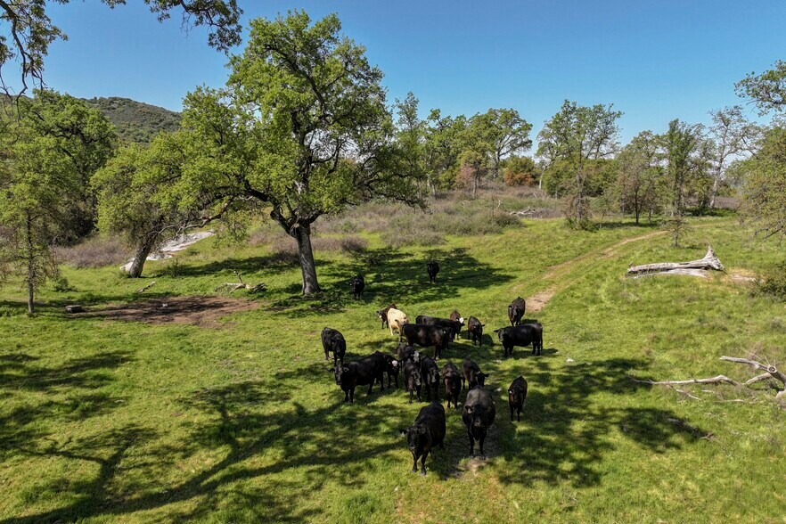 More Photos Of Dry Creek Drive, Badger Land For Sale