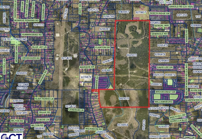 Primary Photo Of Duff Rd, Walker Land For Sale