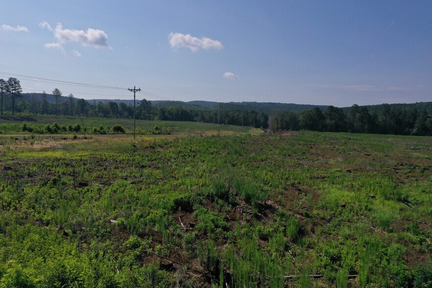 More Photos Of 00 Everett Chappell Rd, Mount Gilead Land For Sale