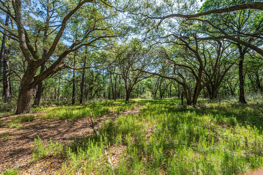 More Photos Of 0 King Rail Lane, Edisto Island Land For Sale