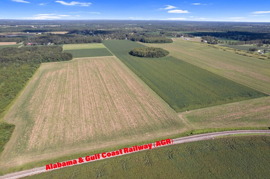 More Photos Of 5700 Pine Forest Rd, Walnut Hill Land For Sale