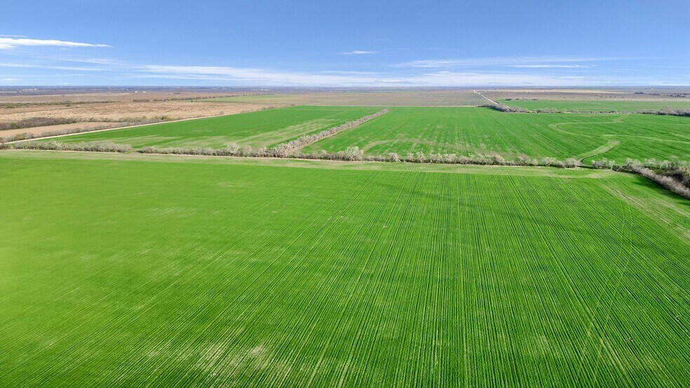 More Photos Of TBD Wall St Rd, Gunter Land For Sale