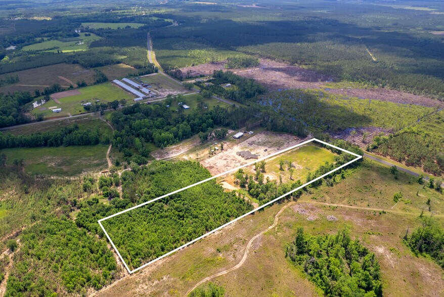 More Photos Of 17614 Lanes Bridge Rd, Odum Land For Sale