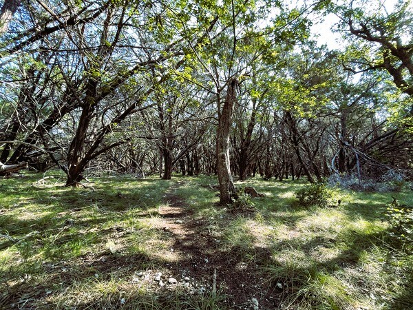 More Photos Of 4547 County Road 108, Burnet Land For Sale