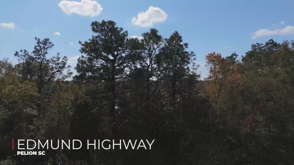 Primary Photo Of 00 Edmund Hwy, Pelion Land For Sale