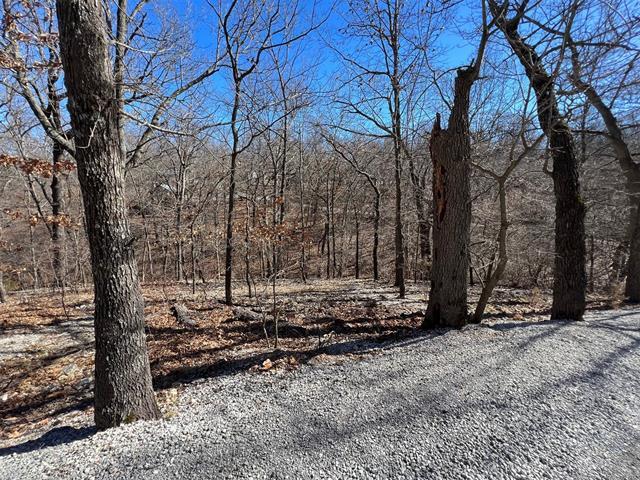 More Photos Of 450630 S Old Mill Road, Afton Trailer Camper Park For Sale