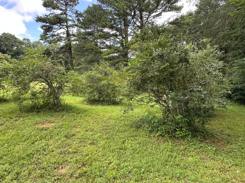 More Photos Of 7312 Highway 60, Georgetown Land For Sale