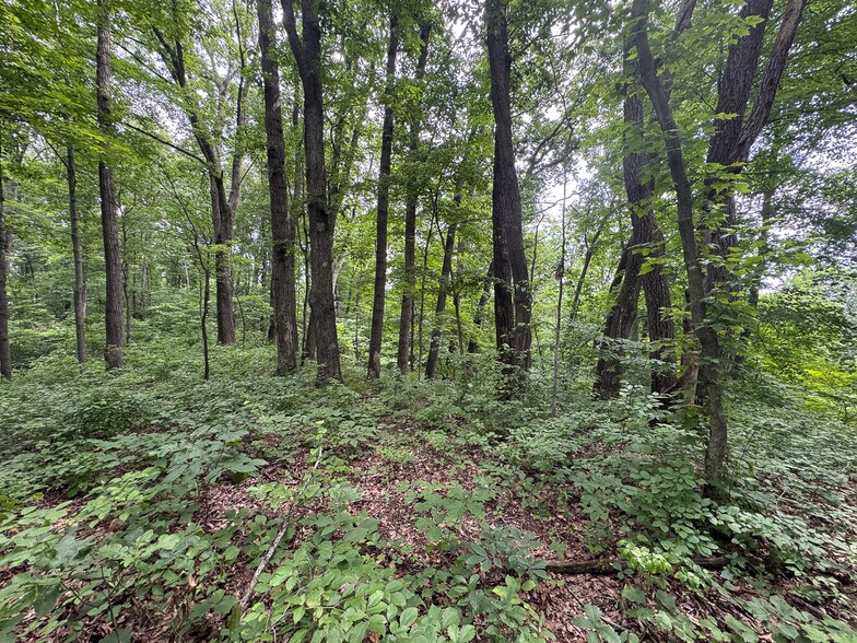 More Photos Of 8441 Millertown Rd SE, Corning Land For Sale