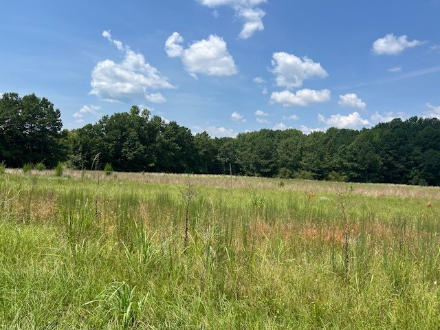 More Photos Of 711 Longtown Rd, Columbia Land For Sale