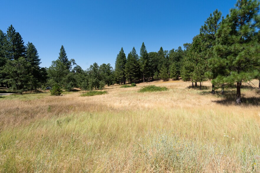 25755 State Highway 88, Pioneer, CA 95666 Land For Sale