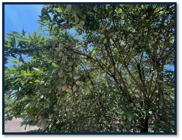 More Photos Of Avenue 192, Strathmore Land For Sale