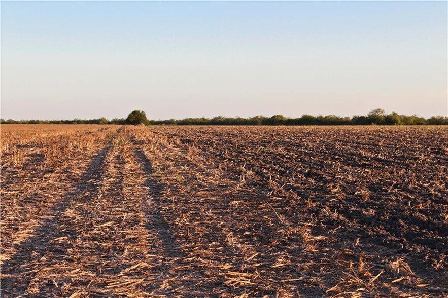 More Photos Of 0 CR 20, Petronila Land For Sale