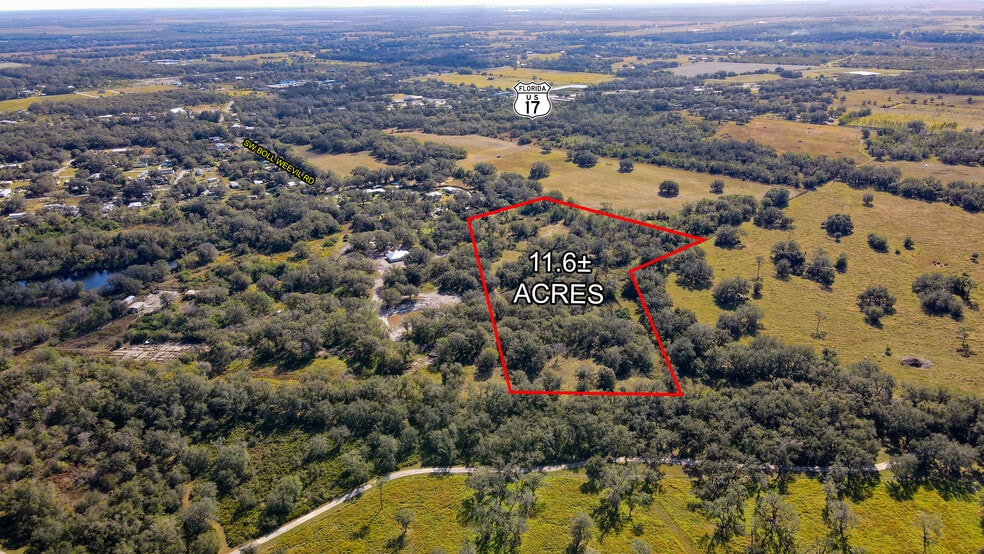 More Photos Of 3128 SW Boll Weevil Rd, Arcadia Land For Sale