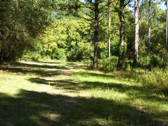 Primary Photo Of Monticello Rd, Hazlehurst Land For Sale