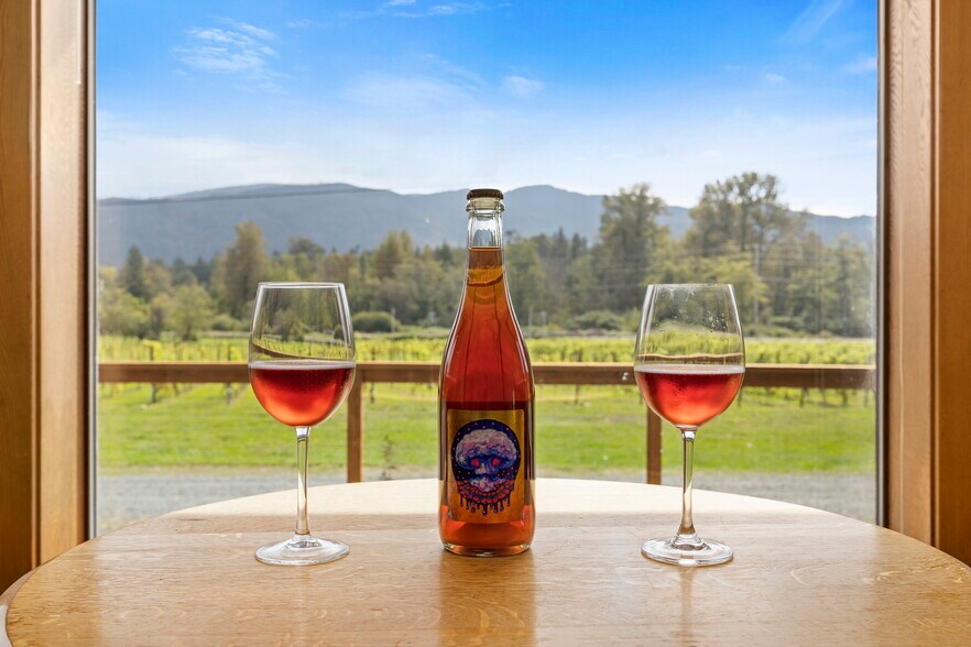 More Photos Of 4290 Mt Baker hwy, Everson Winery Vineyard For Sale