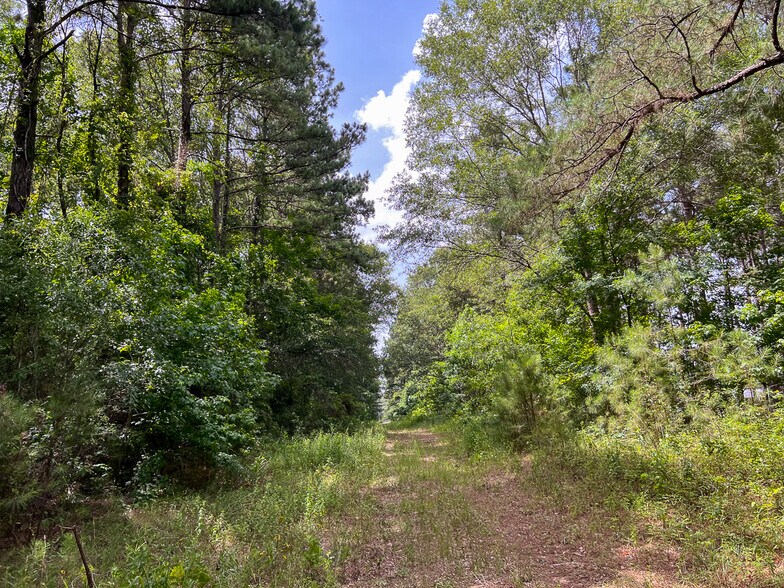 More Photos Of Tommy Smith Road || 34 acres, Conroe Land For Sale
