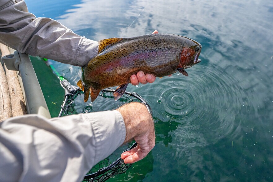 More Photos Of 41579 Osprey Rd, Fall River Mills Land For Sale