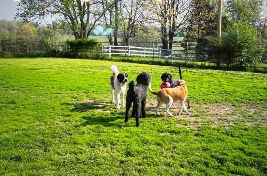 More Photos Of 1642 W Inman Rd, Nixa Office Residential For Sale