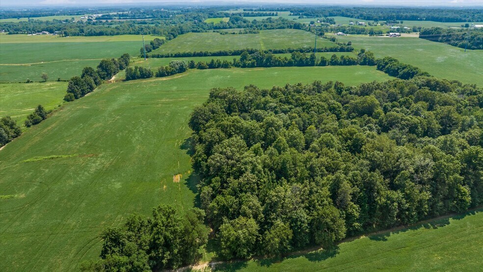 More Photos Of Palmer Rd, Millersport Land For Sale