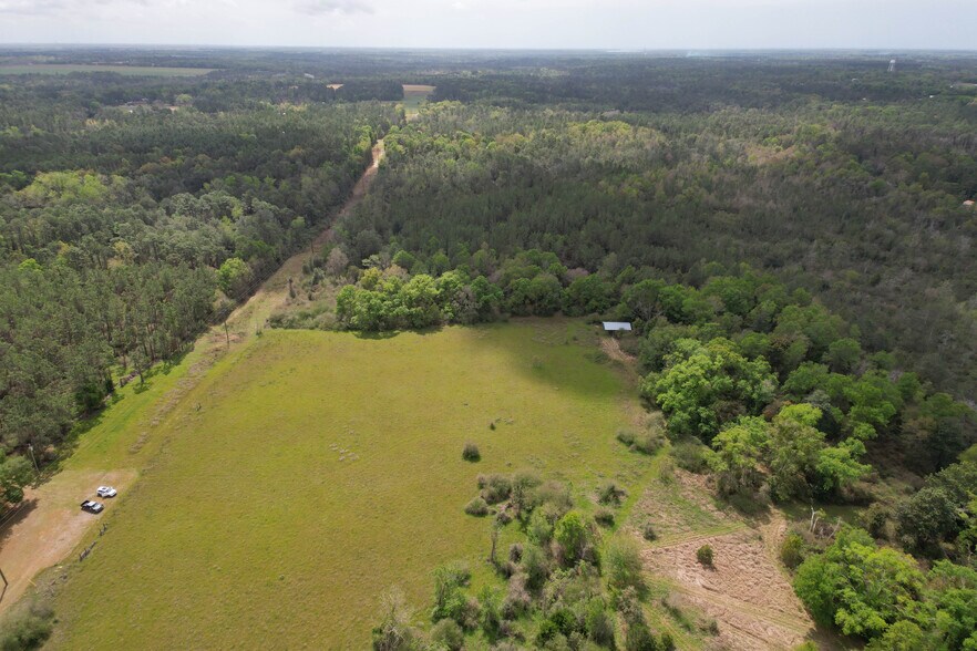 More Photos Of 12960 County Road 48, Silverhill Land For Sale