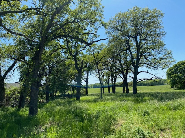 Primary Photo Of HWY U.S. 82 Lot 1 Nunneley Hwy @ Decatur St., Saint Jo Land For Sale