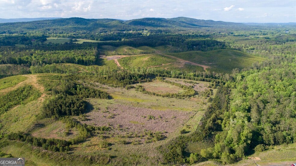 More Photos Of 0 Old Blacks Bluff Rd, Rome Land For Sale