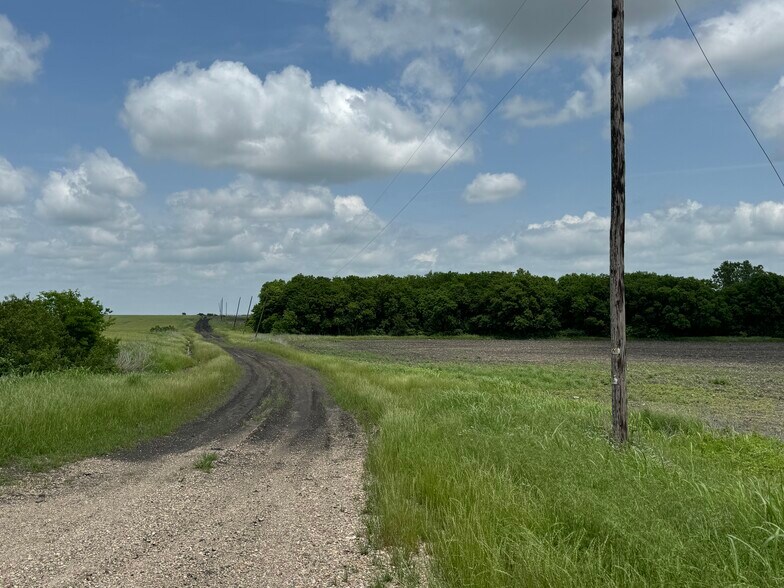 More Photos Of 9024 FM 64, Pecan Gap Land For Sale